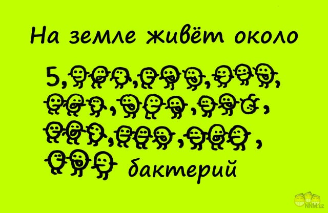 бактерии.jpg